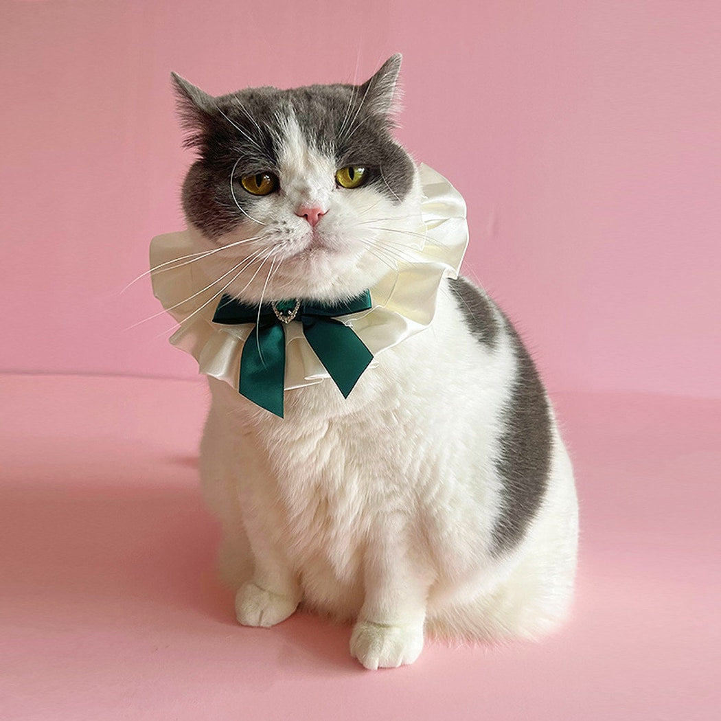 Mokka - Heart Bow Princess Style Cat Collar