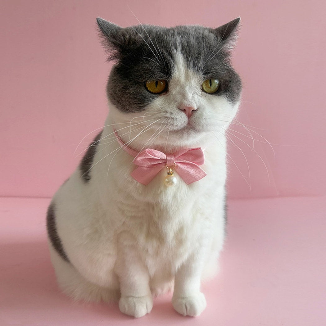 Mokka - Glossy Bow Tie Style Pet Collar