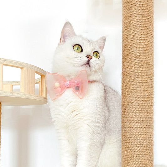 Mokka - Cute Pink Adjustable Collar