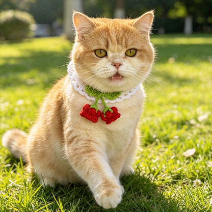Mokka - Princess Style Flower decorated Pet Collar