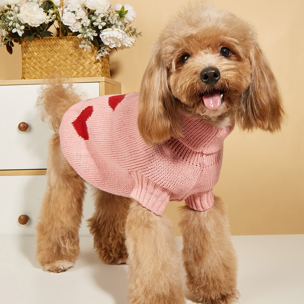 Ozzie - Heart Pattern Pet Knit Sweater Dress