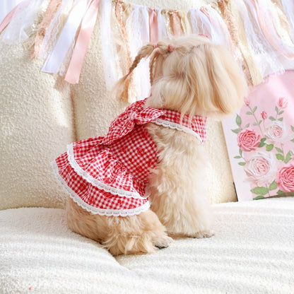 Ozzie - Rose Gingham Double-Layer Pet Dress