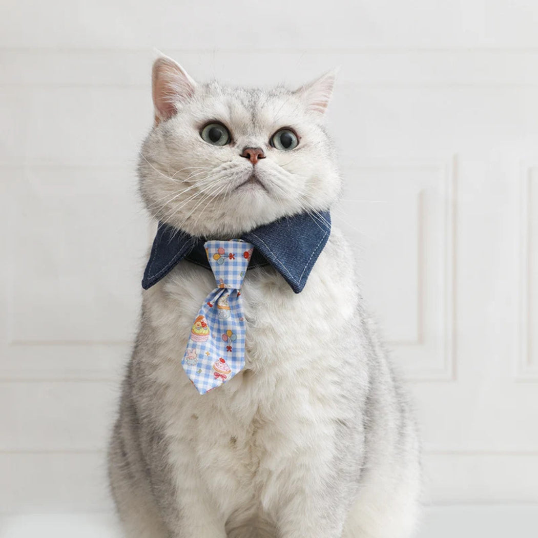 Mokka - Cute Neck Tie Style Pet Collar