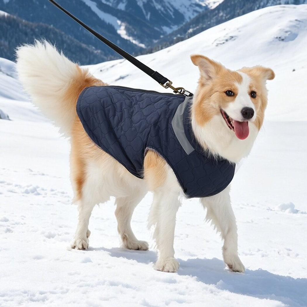 Ozzie - Modern Simple Quilted Dog Vest