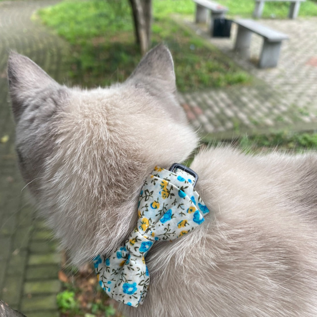 Mokka - Floral Pattern Country Pet Collar