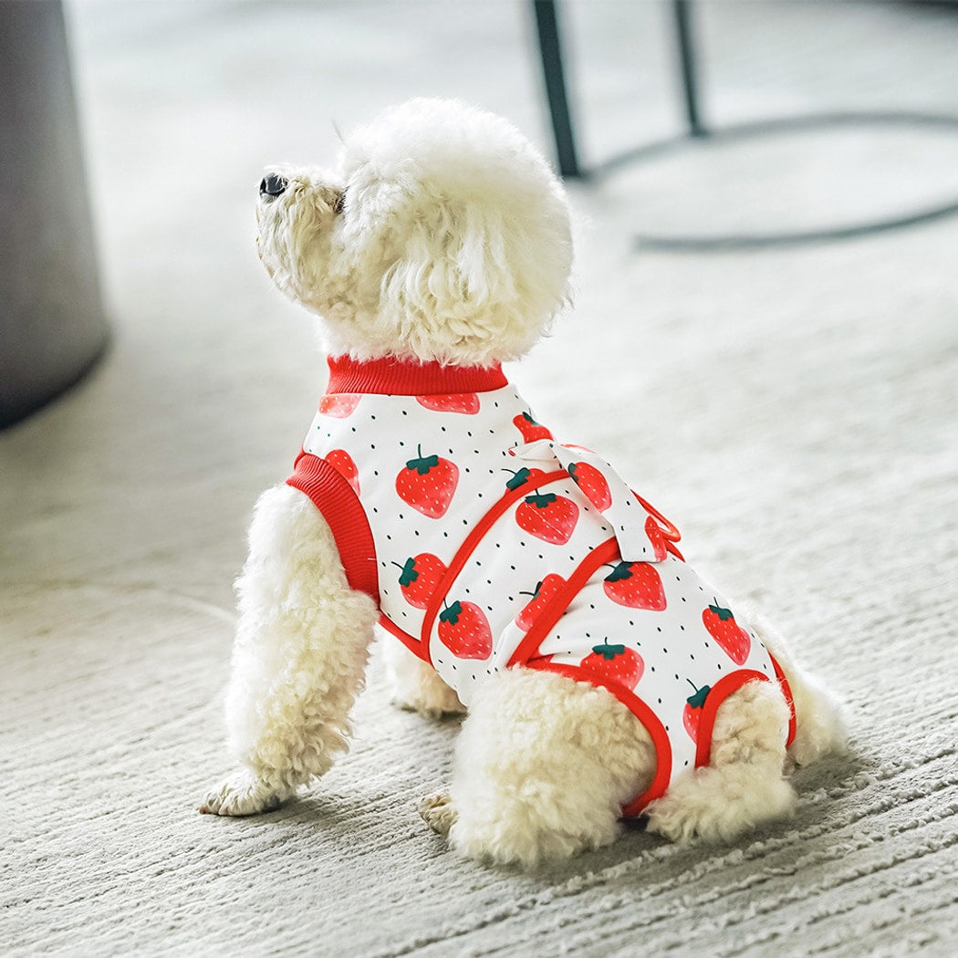 Ozzie - Trim Detail Dog Aftercare Recovery Vest