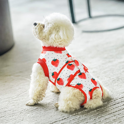 Ozzie - Trim Detail Dog Aftercare Recovery Vest