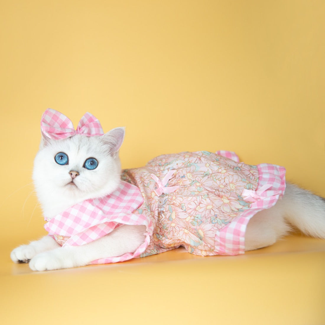Top view of Ozzie dog dress with floral print and bow detail