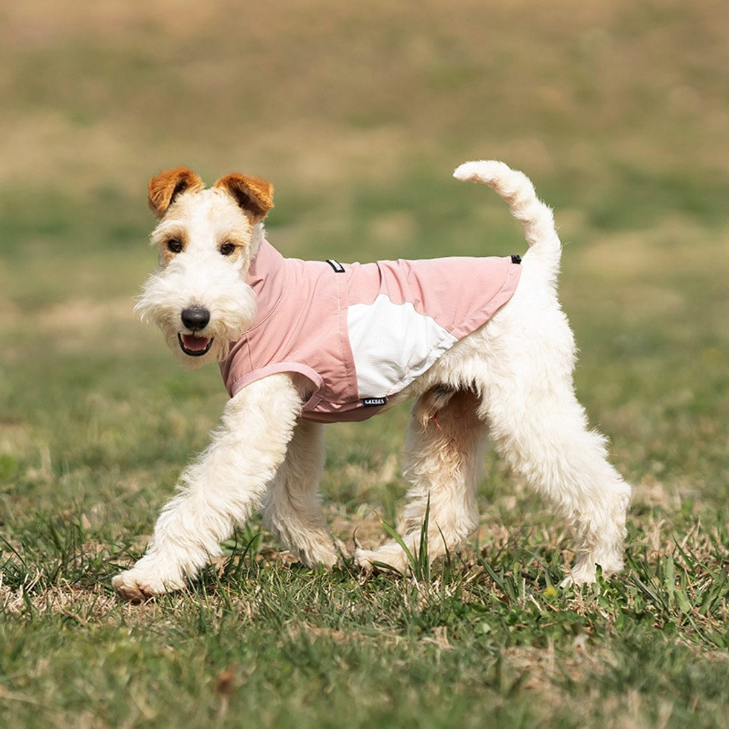 Ozzie - Color Block Everyday Dog Vest