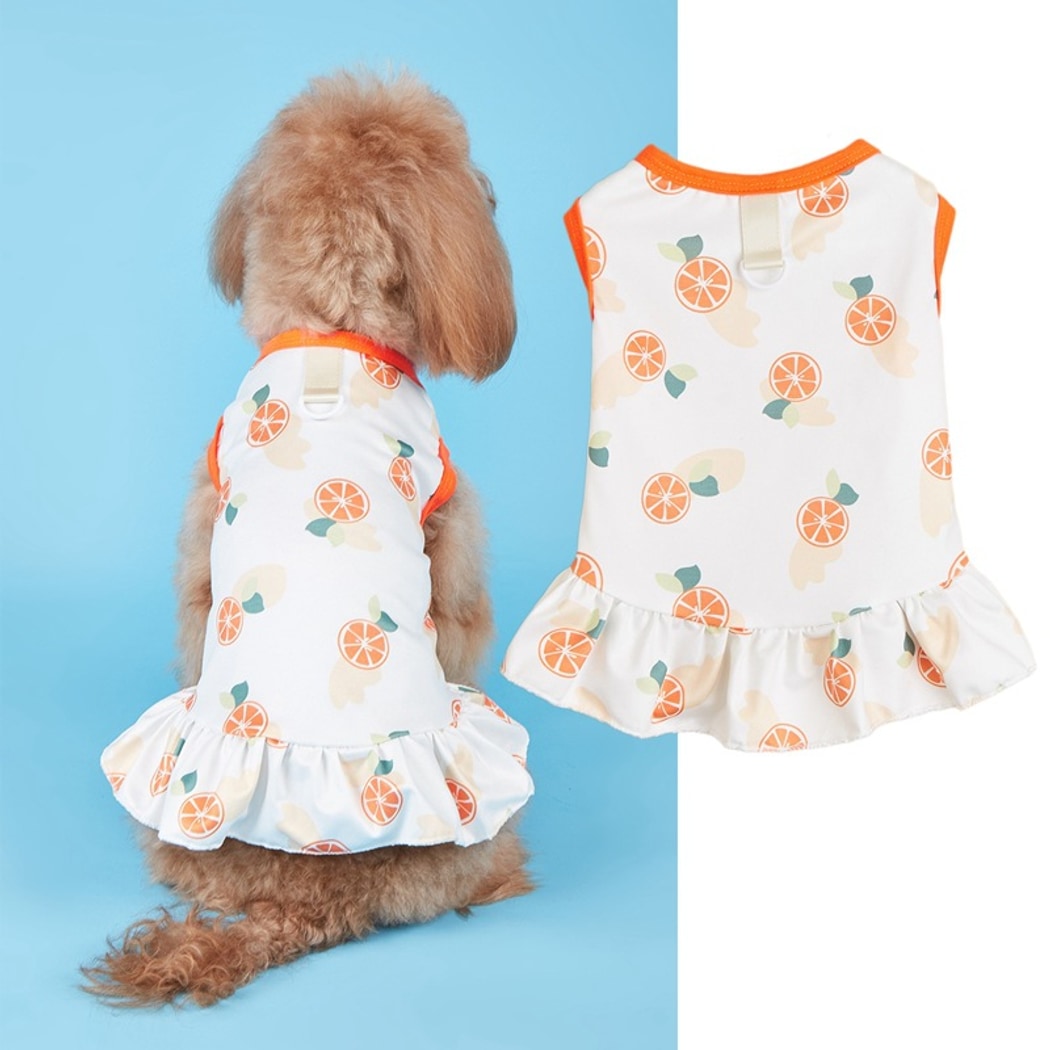 Ozzie - Playful Print Vest Style Pet Dress