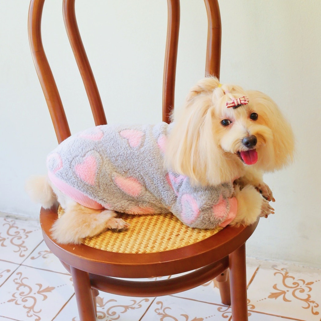 Ozzie - Heart Pattern Pullover Pet Hoodie Sweatshirt