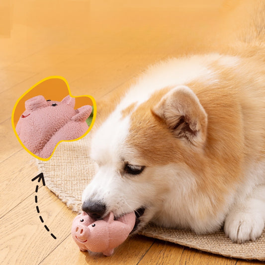 Petkin - Adorable Design Squeaky Dog Toy