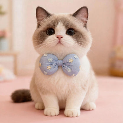 Mokka - Flower Bow Adjustable Cat Collar