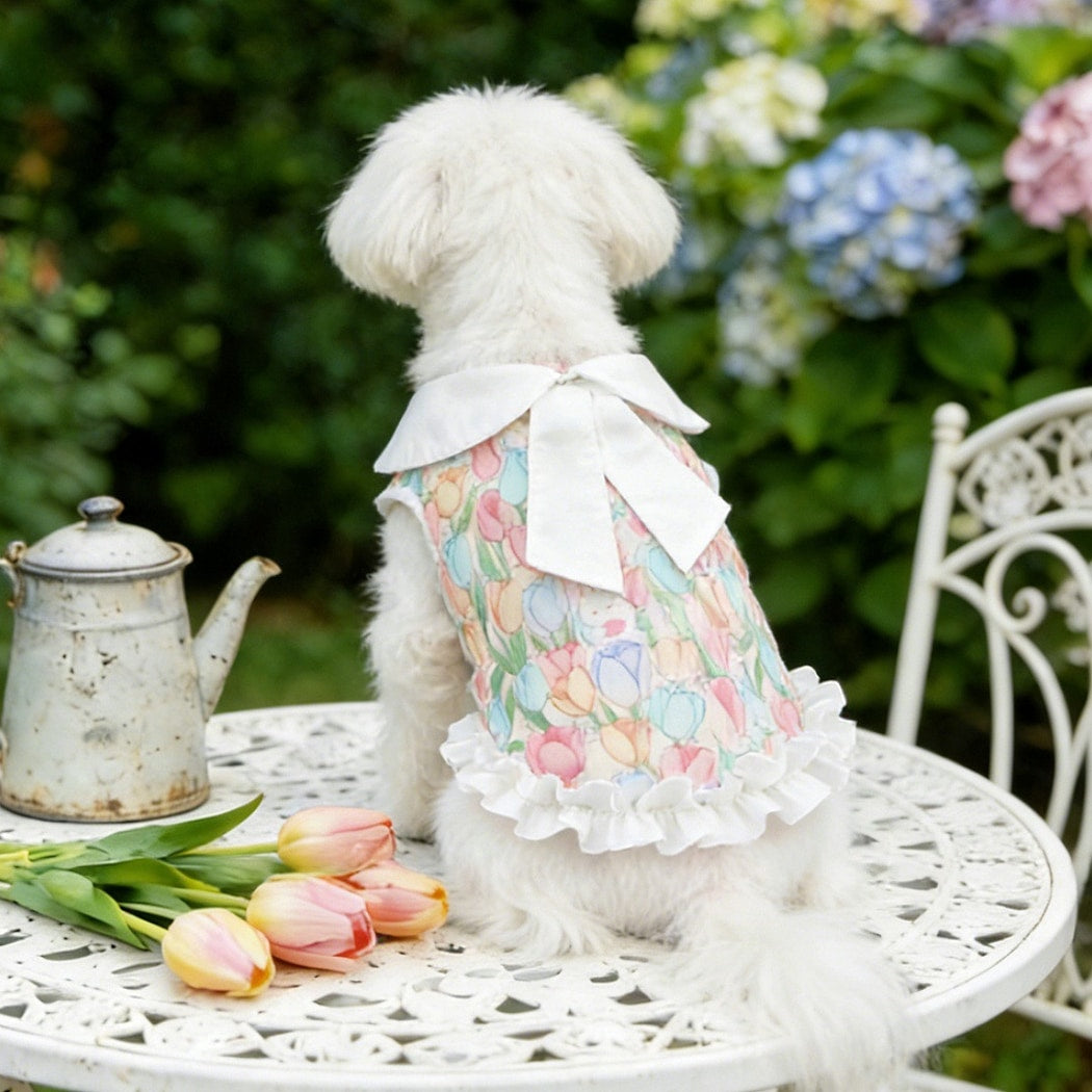 Ozzie - Ruffle Hem Printed Spring Summer Dog Dress