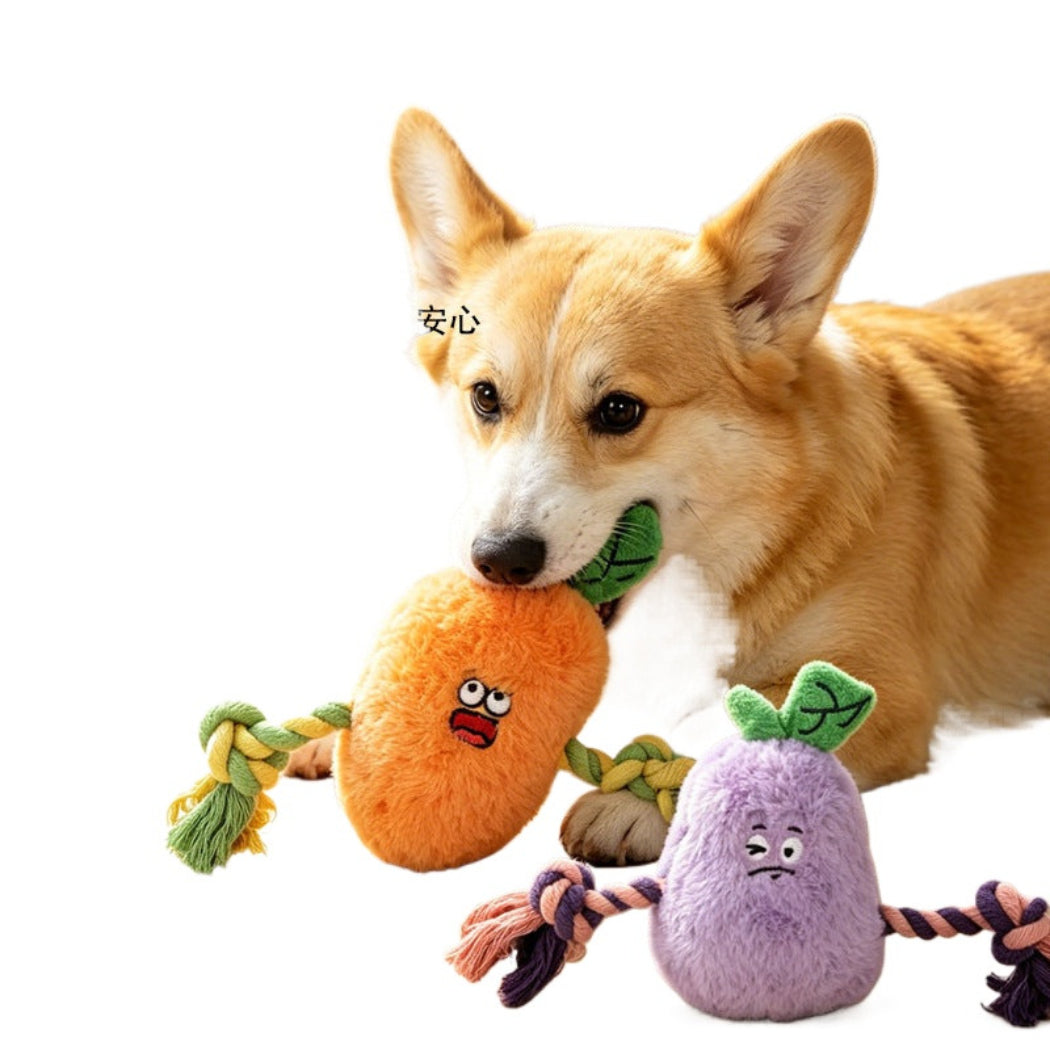 Petkin - Rope-Arm Vegetable-Shaped Plush Dog Toy