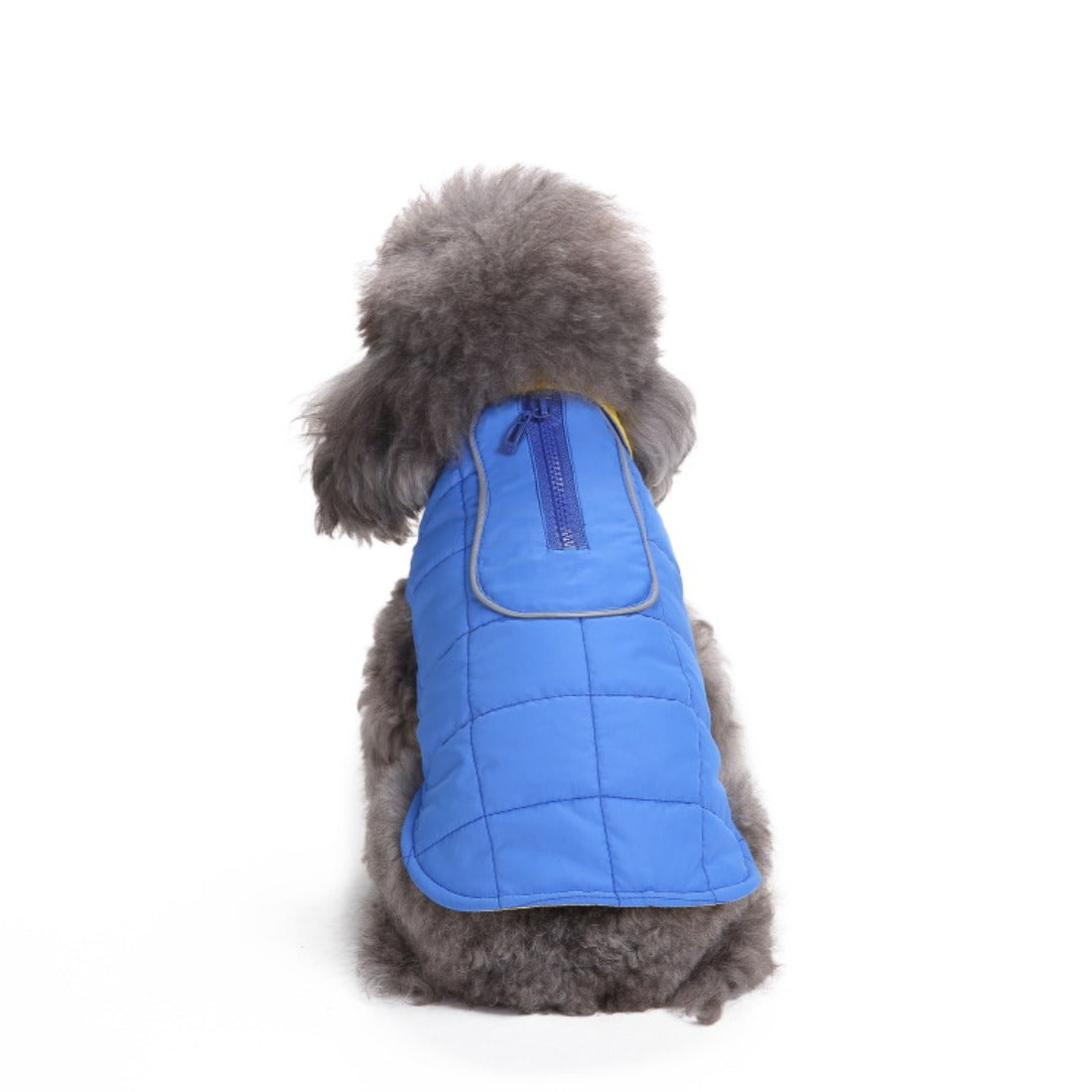 Ozzie - Solid Color Small Dog Winter Coat