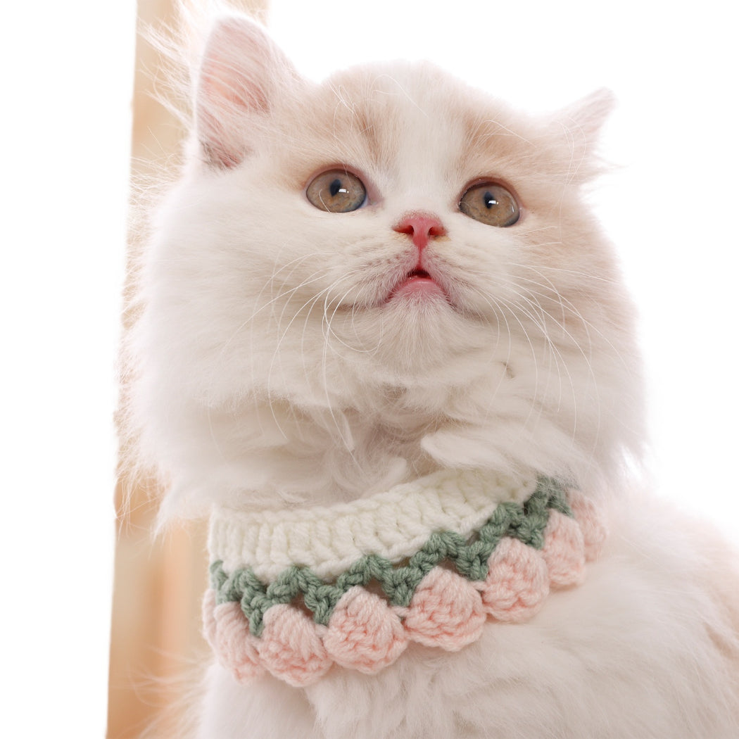 Mokka - Flower Scalloped Crochet Cat Collar