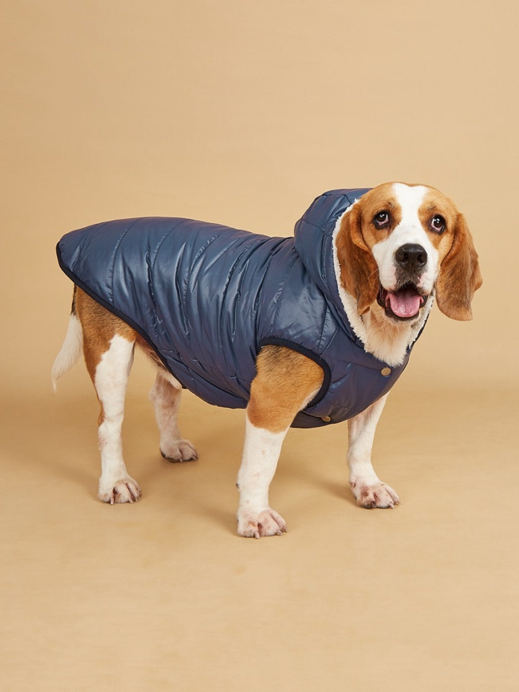 Ozzie – Puffer Hoodie Dog Coat