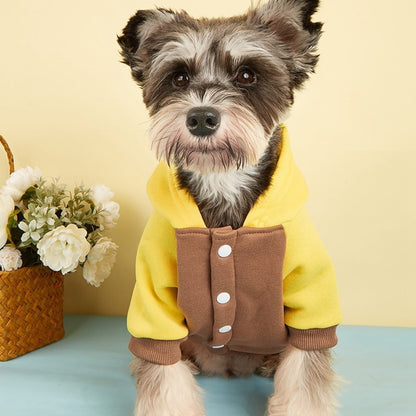 Ozzie - Baseball Style Hooded Small Dog Sweatshirt