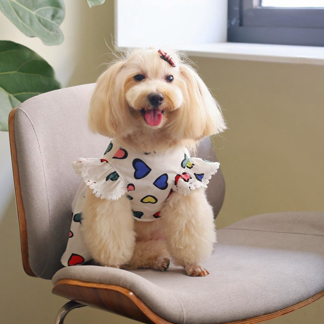 Ozzie - Colorful Heart Print Pet Dress
