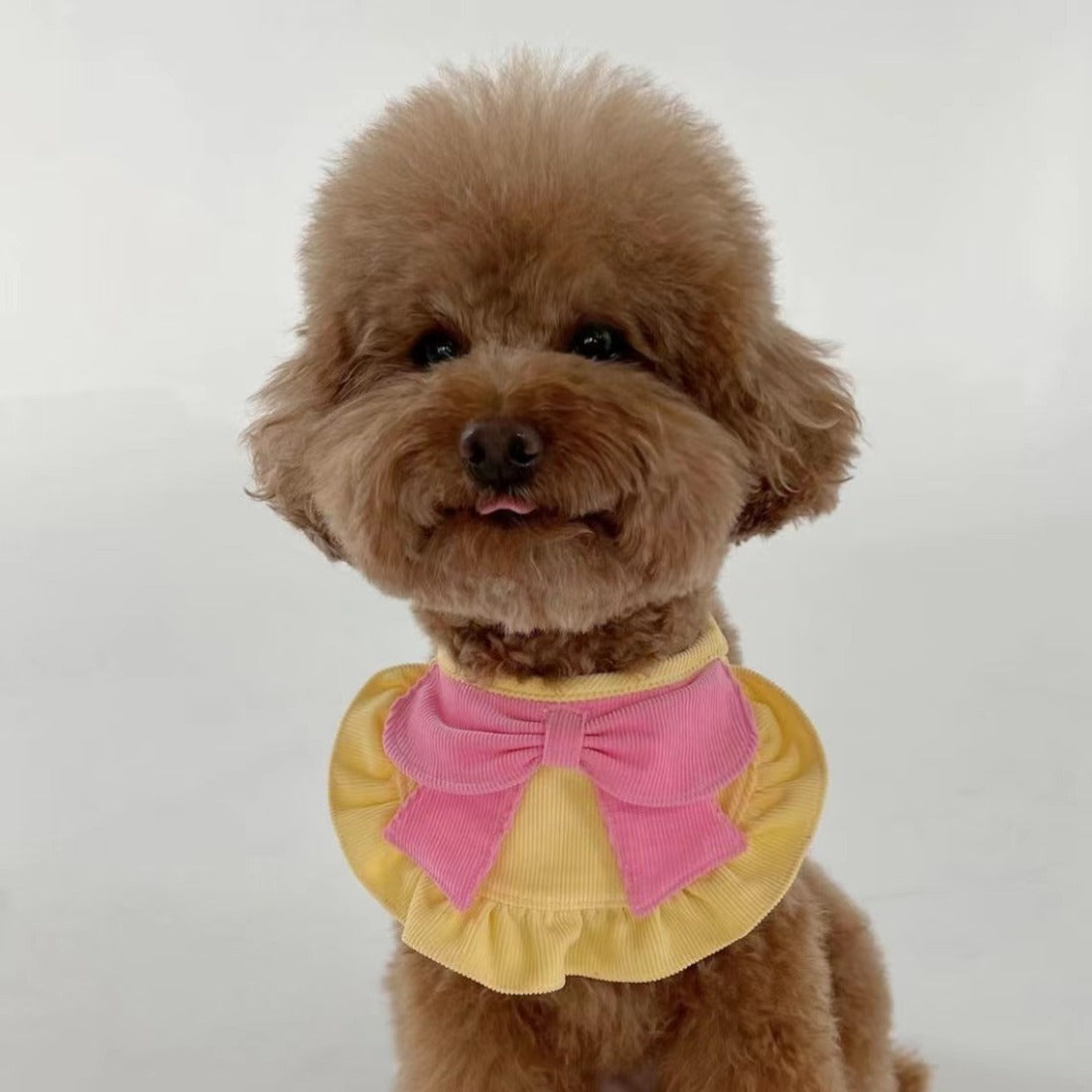 Side view of Mokka pet bandana showing ruffle and bow design