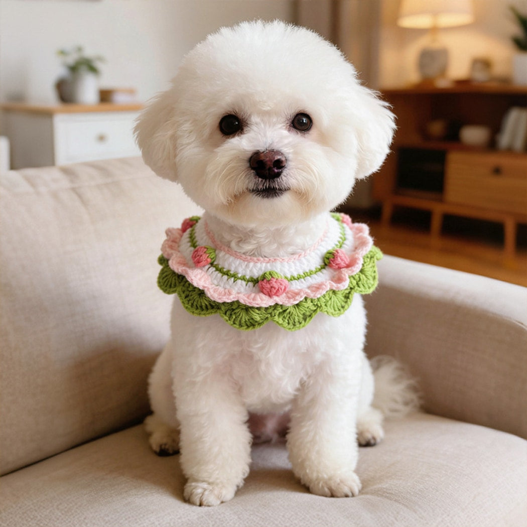 Mokka - Strawberry Decorative Tie Strap Pet Collar