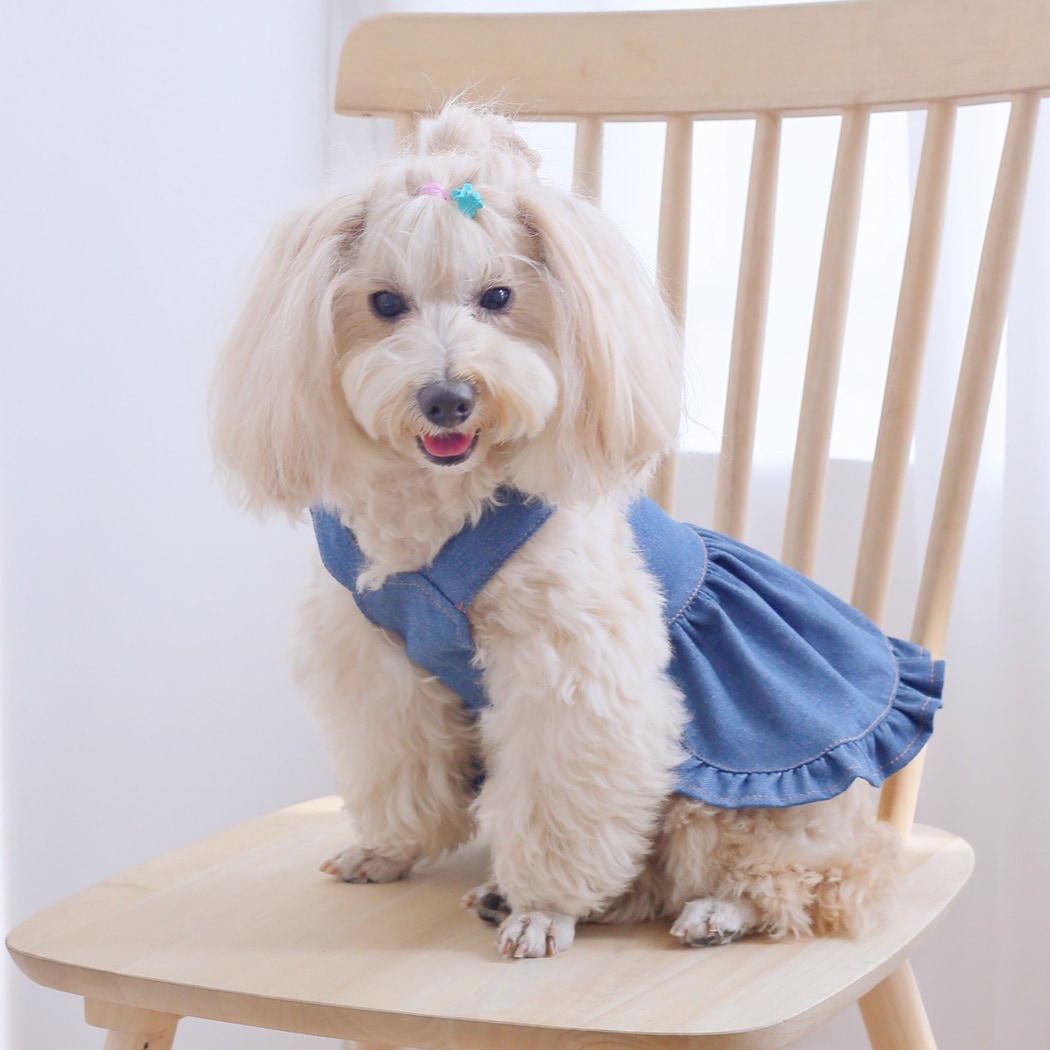 Ozzie - Ruffle Hem Dog Dress
