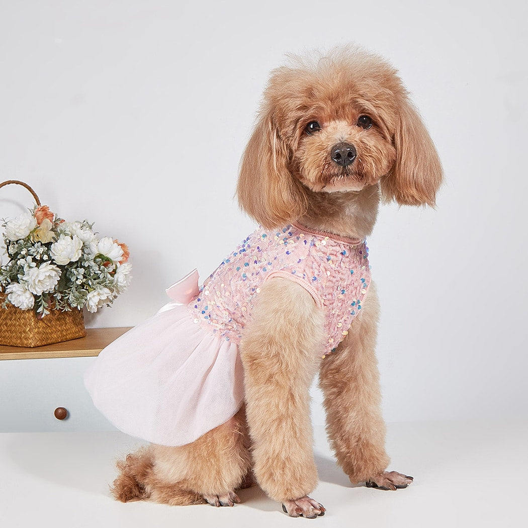 Ozzie - Sparkly Princess Style Dog and Cat Dress