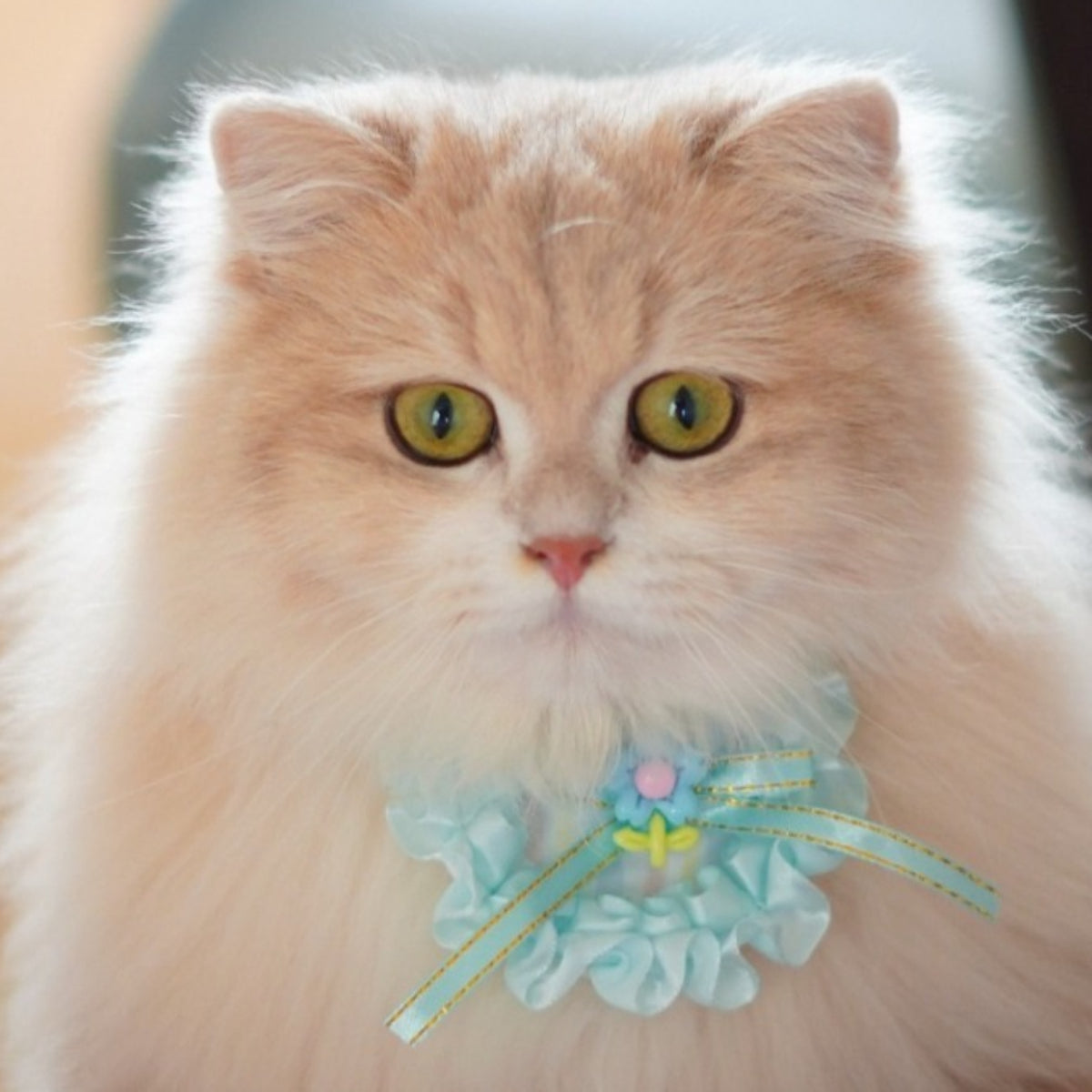 Pastel ribbon cat bib displayed flat with adjustable neck strap visible