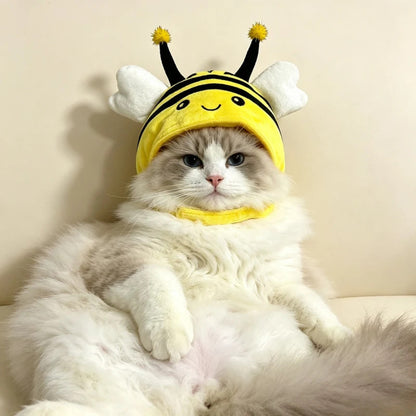 Ozzie - Bee Costume Hat for Cats