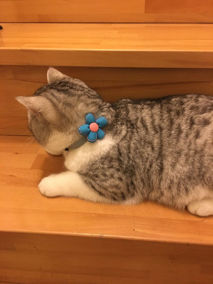 Mokka cute floral cat collar with adjustable sizing and breakaway safety buckle
