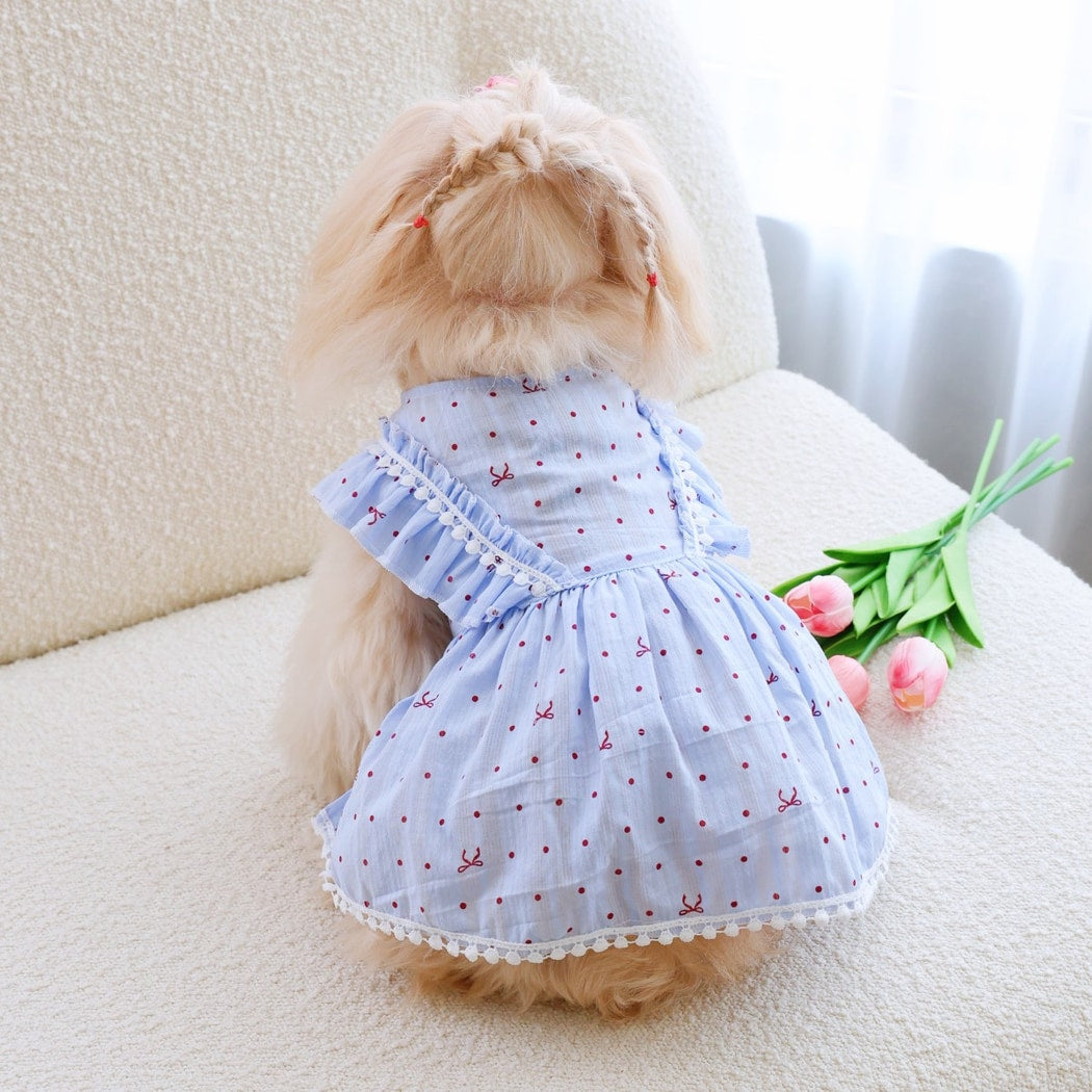 Ozzie - Blue Polka Dot Ruffle Trim Pet Dress