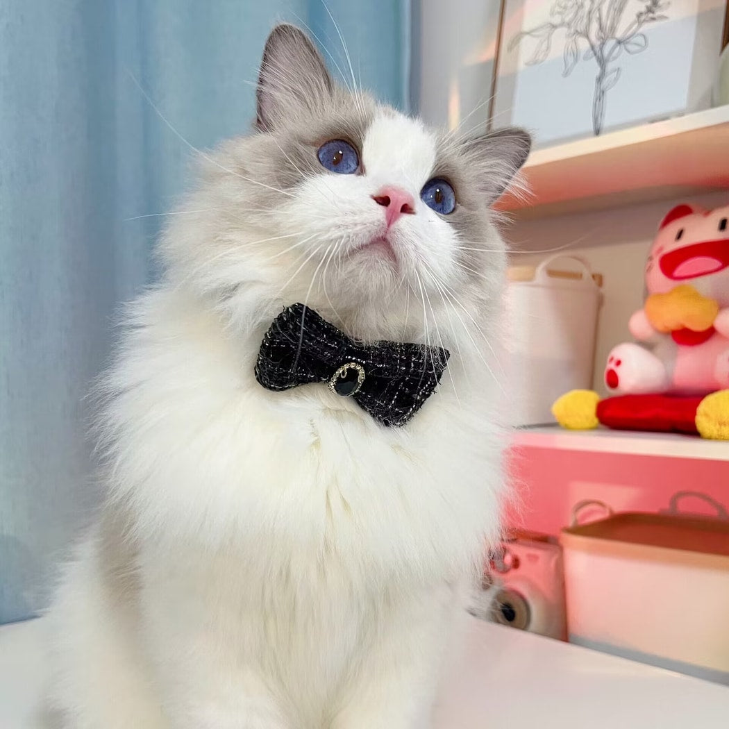 Mokka - Princess Style Plaid Bowknot Cat Collar