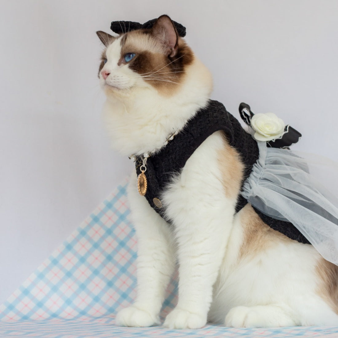 Top view of Ozzie princess tulle pet dress with bow accent