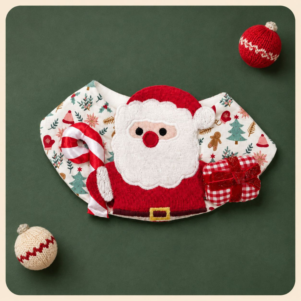 Mokka - Christmas Santa Bib Pet Neckwear