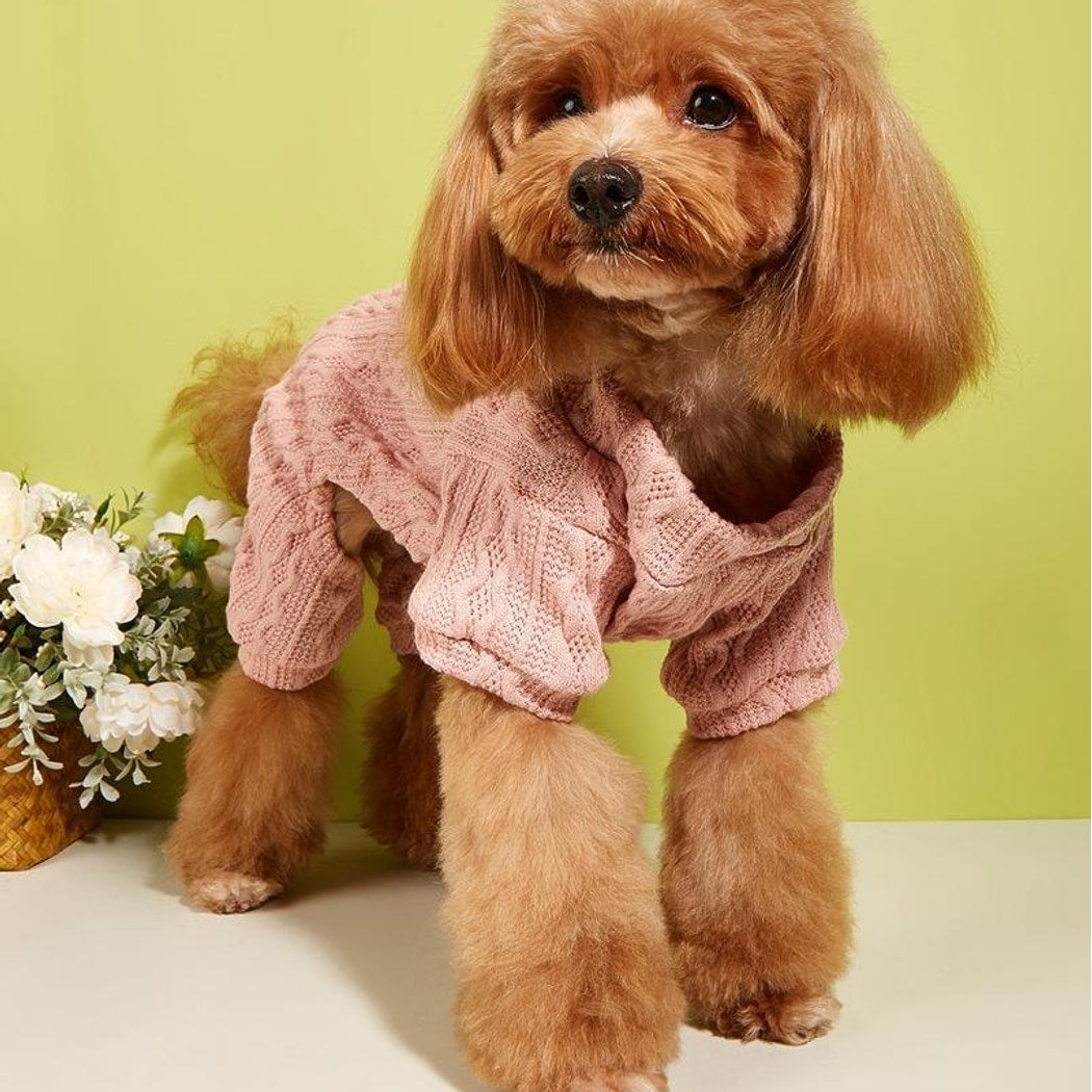 Ozzie - Round Neck Pullover Dog Sweater