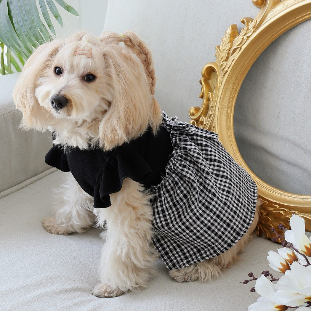 Ozzie - Flutter Sleeve Gingham Pet Clothing Dress