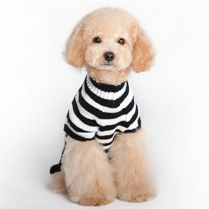 Halloweek - Halloween Skull Print Dog Costume Sweater