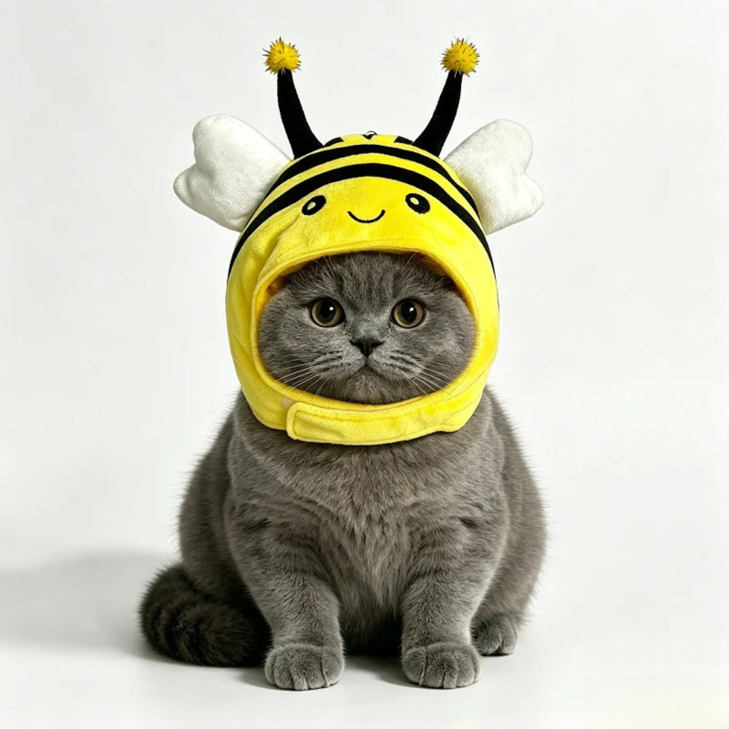 Ozzie - Bee Costume Hat for Cats