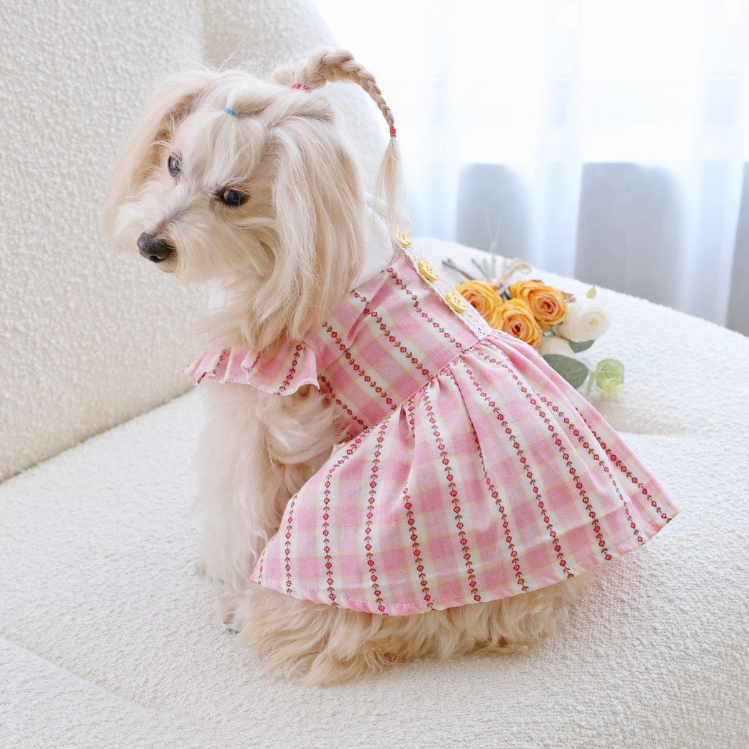 Ozzie - Striped Doll Collar Lace Trim Pet Dress