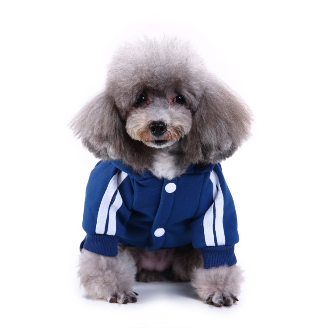 Ozzie - Pet Winter Warm Sportswear