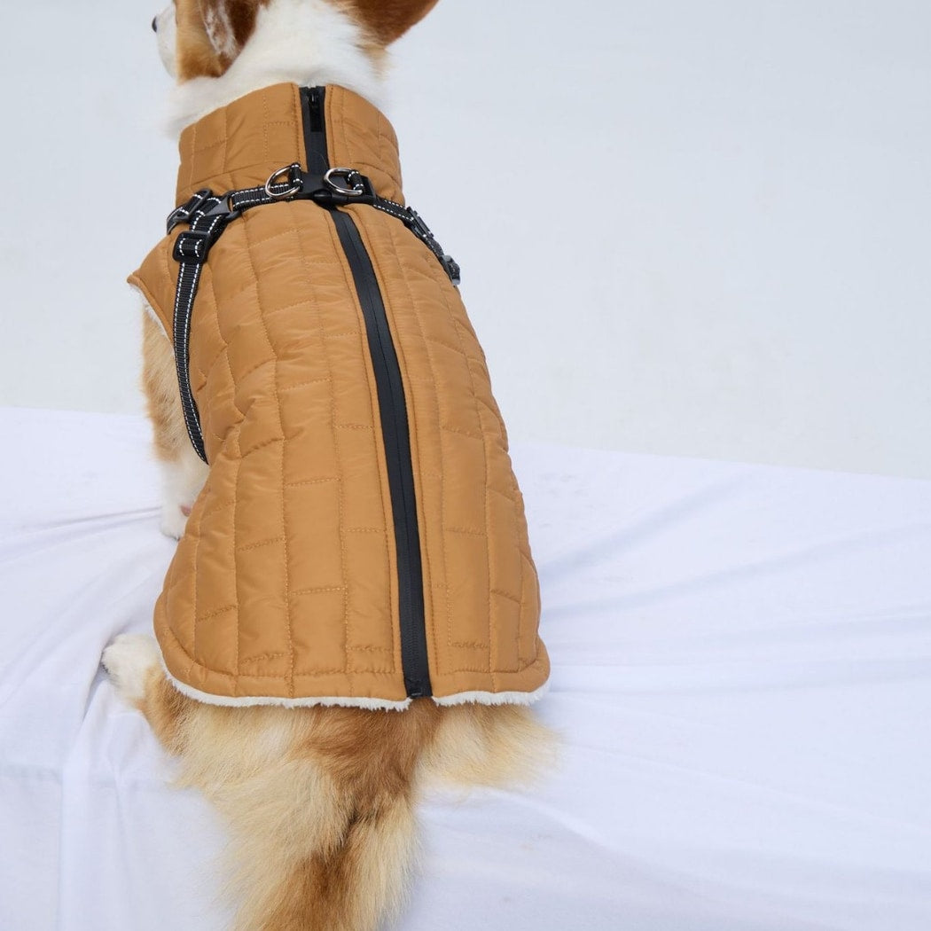 Ozzie - Quilted Outdoor Dog Winter Coat