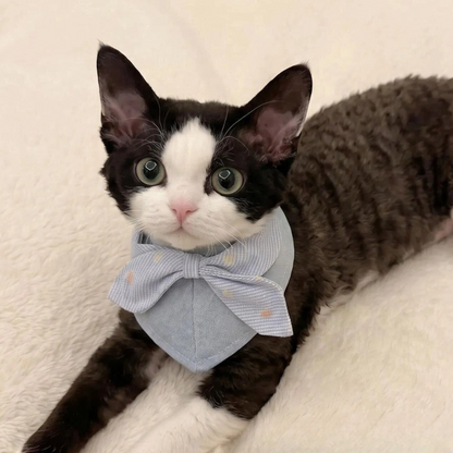 Mokka - Sweet Shirt Collar Bow Pet Bandana