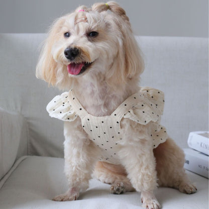 Ozzie - Polka Dot Bow Cat and Dog Pet Dress