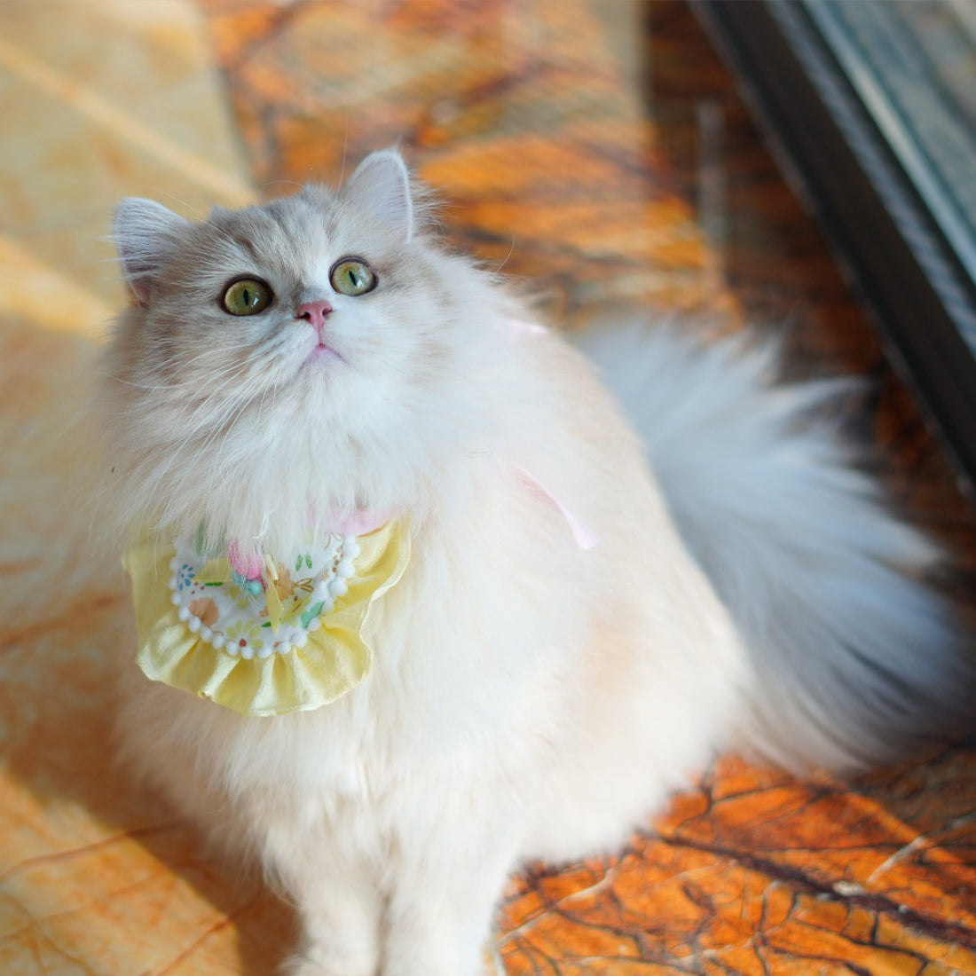 Close-up of Mokka cat bib showing detailed floral bow design and adjustable strap