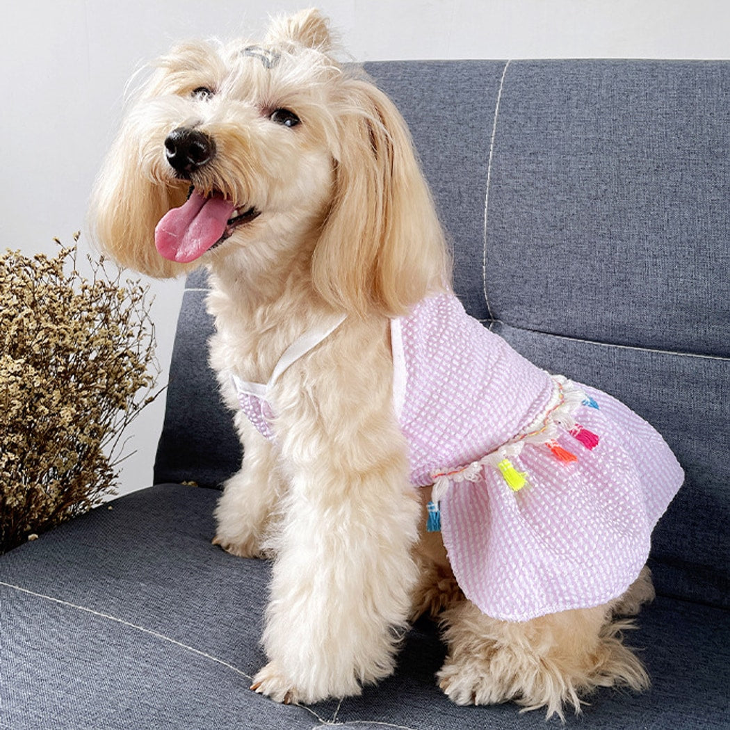 Ozzie - Casual Tassel Trim Dog and Cat Pet Dress