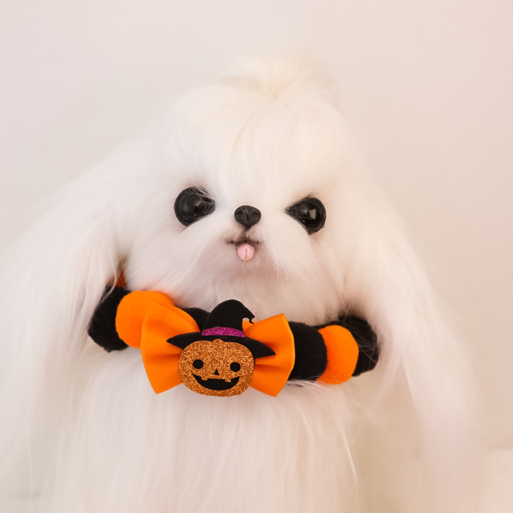 Halloweek - Halloween Cat Collar with Cartoon Motifs