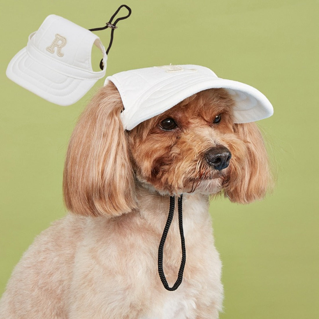 Back view of Ozzie Letter Dog Baseball Cap with adjustable strap and embroidered letter O