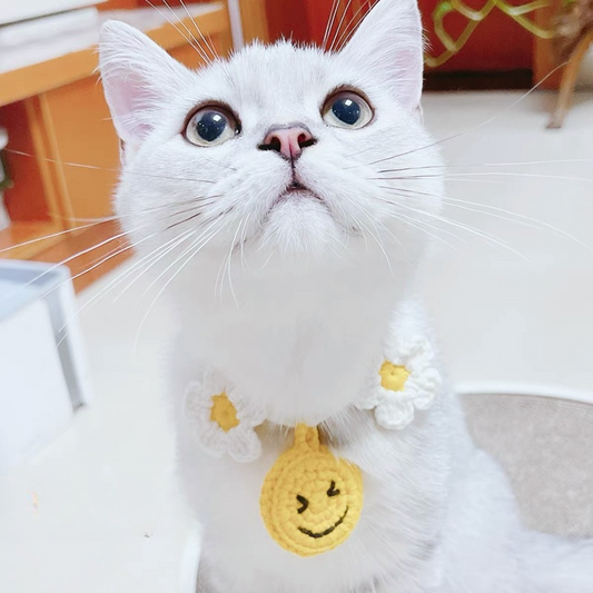 Mokka - Knit Adjustable Cat Collar with Smile Face