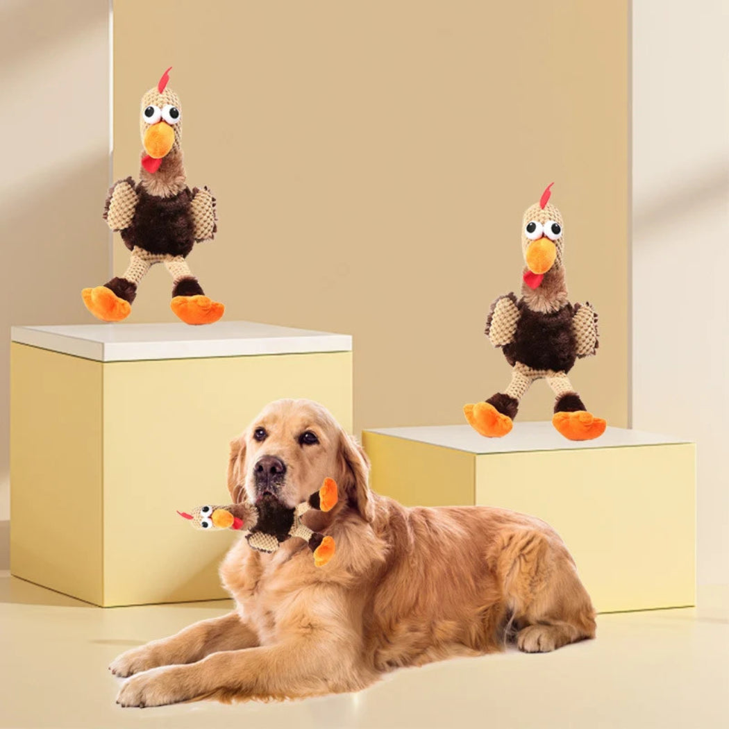 Petkin - Chicken Character Plush Dog Toy
